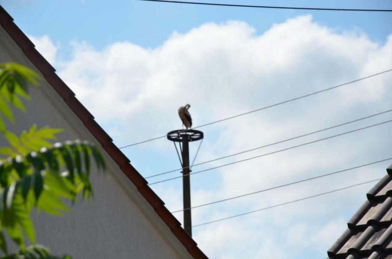 Storchennest An Der Spree In Radinkendorf Lägenhet Beeskow Exteriör bild